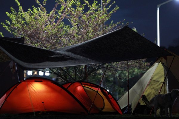 Quels sont les conseils pour un séjour réussi en camping à Moëlan-sur-Mer ?