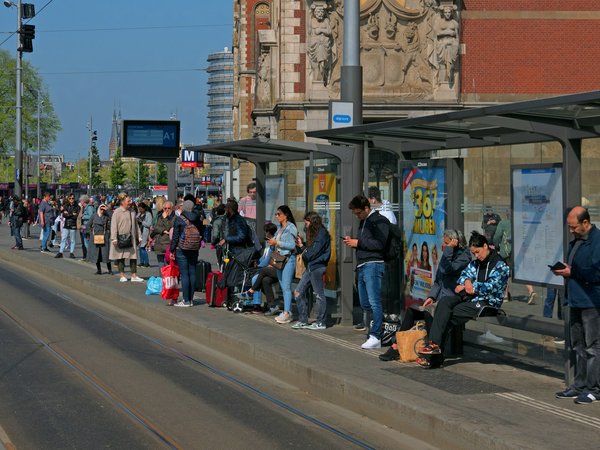Comment les croisières facilitent-elles les rencontres entre voyageurs ?