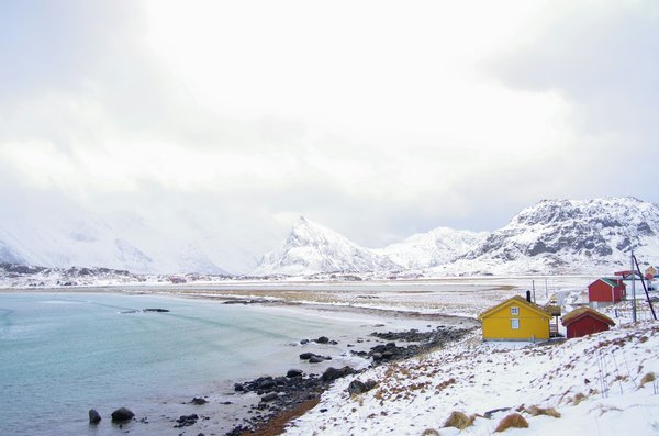 Quelles sont les options pour une croisière de découverte des fjords de Norvège en hiver ?